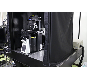 多光子励起・共焦点レーザー走査型顕微鏡